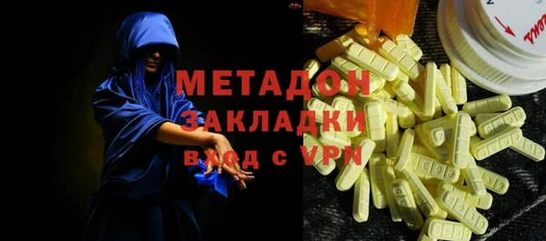 шишки Арсеньев