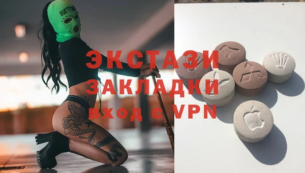 шишки Арсеньев