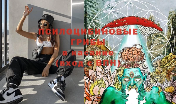 винт Аркадак