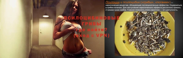 Альфа ПВП Алзамай