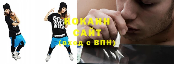 шишки Арсеньев