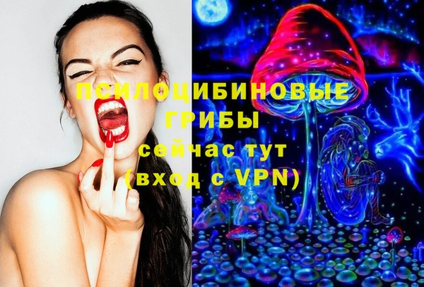 шишки Арсеньев