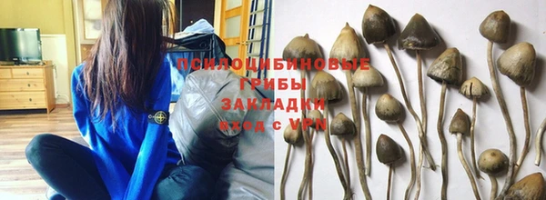 винт Аркадак
