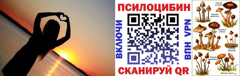 как найти закладки  Усть-Илимск  Галлюциногенные грибы MAGIC MUSHROOMS 